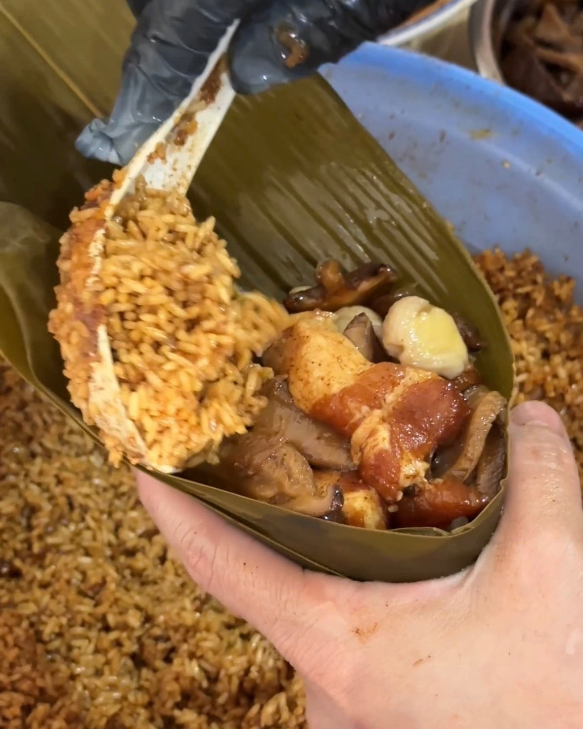 传统粽子 Traditional ZongZi